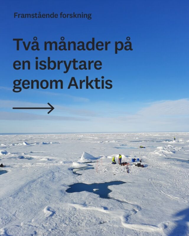 En forskningsdröm som blev verklighet! Hanna Farnelid är docent i marin ekologi vid Linnéuniversitetet. Hon tillbringade 67 dagar ombord på isbrytaren Oden, som del av en internationell polarexpedition. Läs hela storyn på Lnu.se/change.