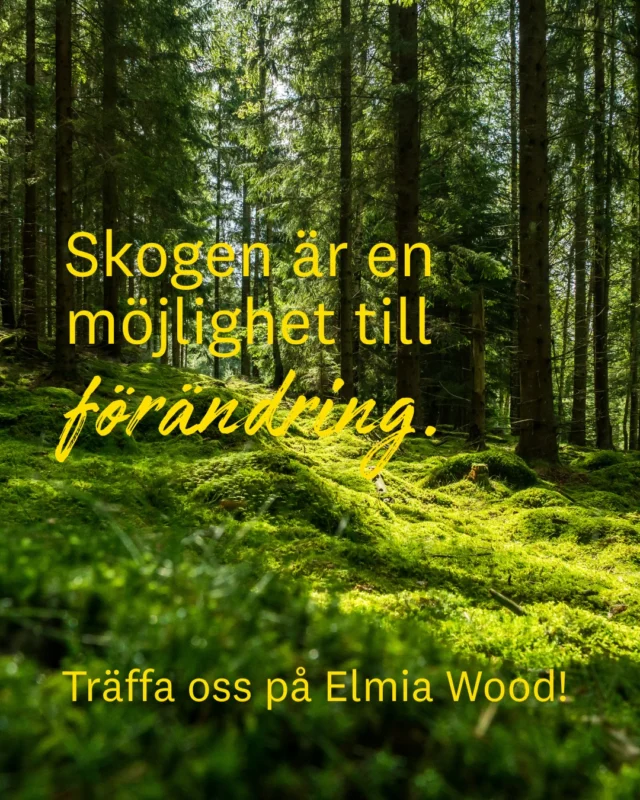 🌲 Change starts på Elmia Wood 2025! 🌲

Nyfiken på att lära dig mer om allt från skogsbruk och hållbara byggnader till långsiktiga lösningar för framtiden? Träffa oss på Elmia Wood den 5-7 juni! 📍🗓️

Elmia Wood är en av världens största internationella skogsmässor och hålls vart fjärde år i Bratteborgs skogar utanför Jönköping. Linnéuniversitetet är självklart på plats för att lyfta hur akademi och näringsliv tillsammans kan forma en skogssektor som är redo för nästa steg. 🌿

Kom förbi vår monter på Campus Wood, träffa forskare som Souvik och Karolina, som driver projekt som verkligen gör skillnad, och upptäck hur du kan vara med och forma framtidens skogssektor. 🌳

Hoppas att vi ses! 💚
