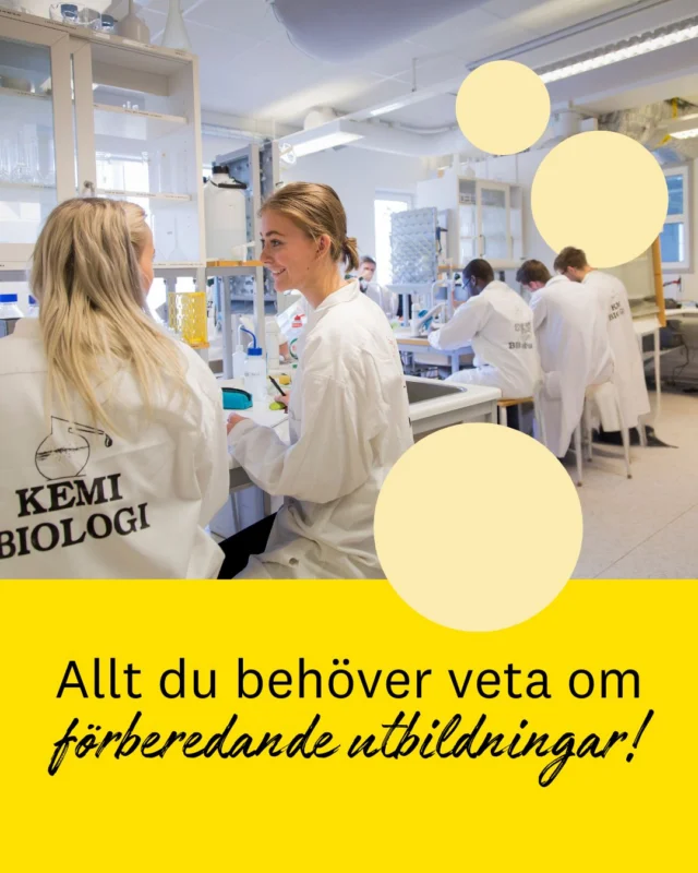 Saknar du behörighet till universitetet? Eller vill du bara känna dig mer redo?
En förberedande utbildning kan vara din bästa väg in!
Swipe 👉 för att läsa mer.

PS: Våra basår är öppna för sen anmälan - så sök till höstens utbildningar nu direkt!