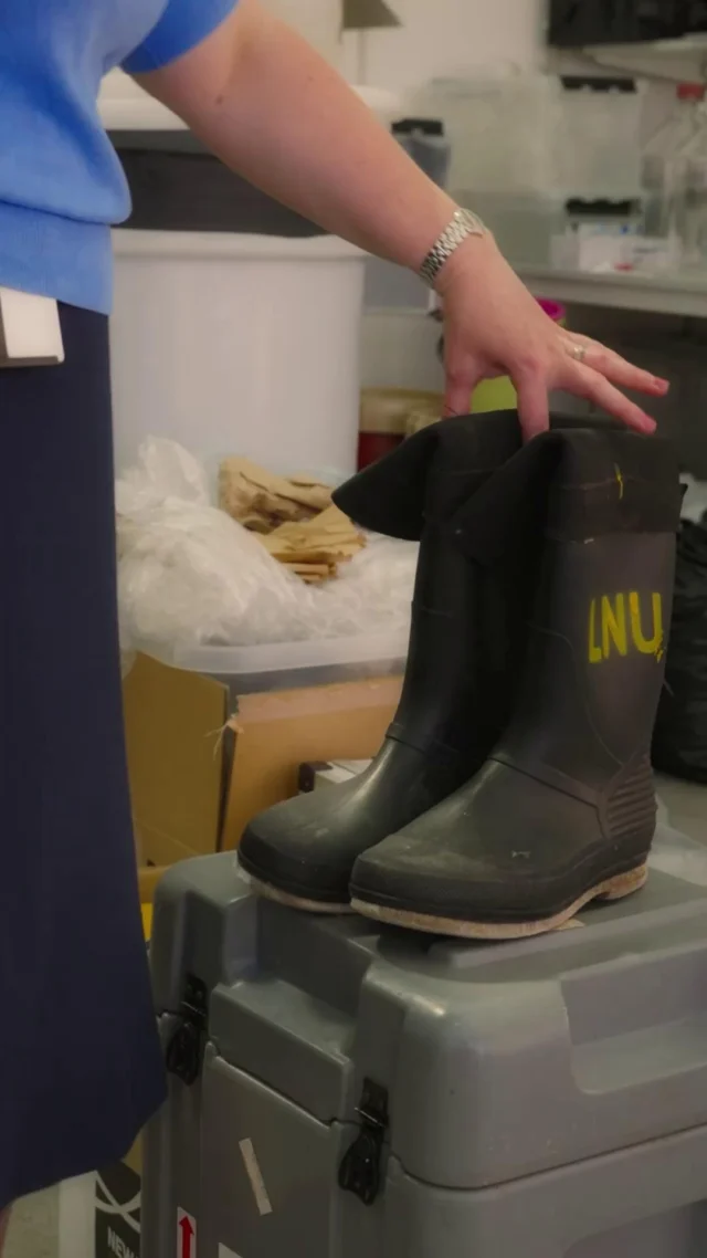Linnéuniversitetet på ny expedition till Arktis!

På lördag reser Hanna Farnelid, lektor och docent i ekologi, på en sex veckor lång expedition till centrala Arktis. Hon kommer att leda en internationell forskarskola för blivande polarforskare och samla in prover från ett marint ekosystem som är nästan helt outforskat.

I klippet berättar Hanna mer om expeditionen och vad hon särskilt minns från sina tidigare forskningsresor till Arktis.