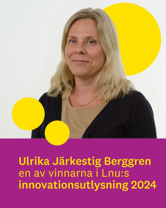 🎉 Ulrika Järkestig Berggren, docent i socialt arbete, vann förra året Linnéuniversitetets innovationsutlysning – med en idé som gör verklig skillnad för barn.

Hon har utvecklat ett digitalt verktyg som hjälper socialsekreterare att upptäcka barn som bär ett alltför stort ansvar hemma. Ett osynligt problem som påverkar barns hälsa, skolgång och framtid – men som sällan fångas upp i tid. 

Med innovationsstödet kunde hon ta nästa steg – sprida metoden till fler kommuner och bygga en databas för fortsatt forskning.