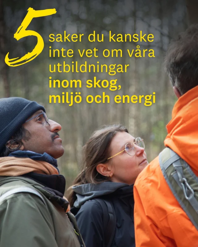 🌱 Vill du vara med och lösa några av vår tids största klimat- och hållbarhetsutmaningar?

På Linnéuniversitetet kombinerar du naturvetenskap, teknik och samhällsfrågor, samtidigt som du får praktisk erfarenhet, branschkontakter och en vardag nära både skog och kusten.

Swipa för 5 saker du kanske inte visste om våra utbildningar inom skog, miljö och energi! 🌍✨