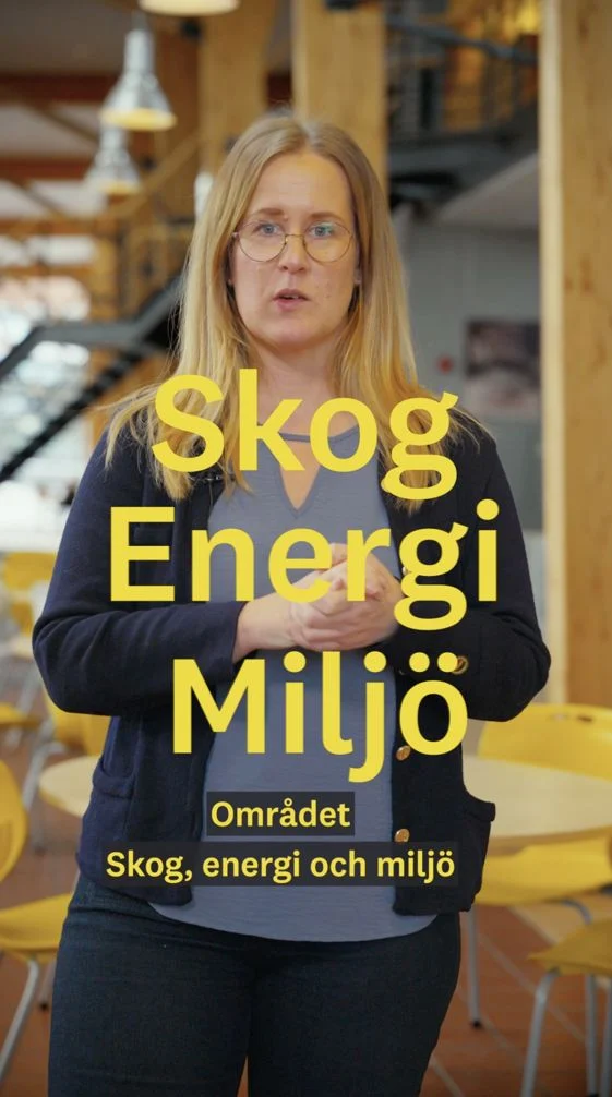 Funderar du på en karriär inom skog, energi och miljöområdet? Arbetsmarknaden framåt ser god ut inom området säger karriärvägledare Sofie Edström. Mer kring löner och arbetsläget berättar Sofie om här!