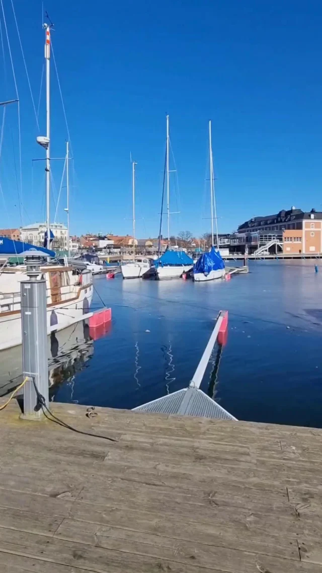 Vad innebär det att studera till sjökapten och hur ser vägen dit ut? I den här intervjun möter du Karam som berättar om allt från föreläsningar och simulatorträning. 🚢
 En utbildning för dig som vill kombinera teknik, ledarskap och äventyr.
 
/Elie, sociala medie-ambassadör och student

#Sjökapten #Linnéuniversitetet #PluggaVidare #Framtidsval #Studentliv #Maritim