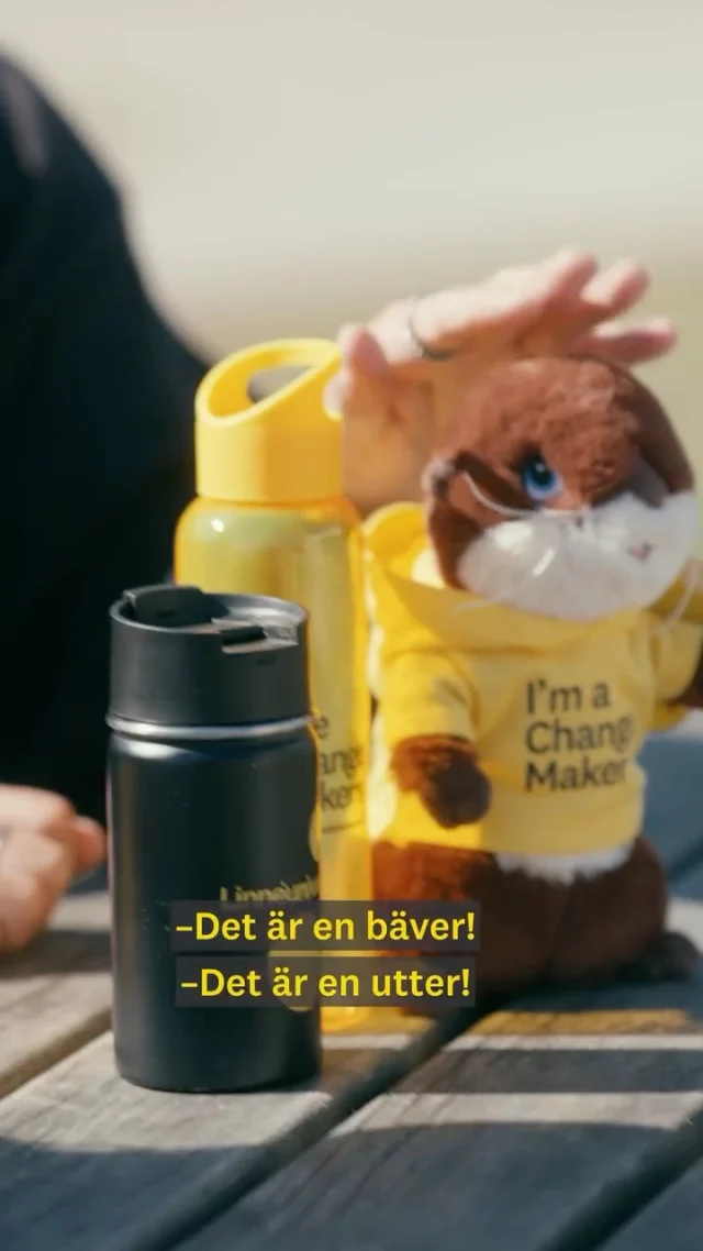 Vet du att det finns en webbshop där du som student kan köpa universitetets profilprodukter online?
I webshoppen hittar du bland annat kläder, tygkassar och andra produkter med Linnéuniversitetets profil.
Du kan fortfarande köpa produkterna i universitetets butiker på campus – i Infocenter (hus Stella i Kalmar och i hus H i Växjö) – men nu finns också möjligheten online när det passar dig!
Läs mer på Lnu.se/profilprodukter