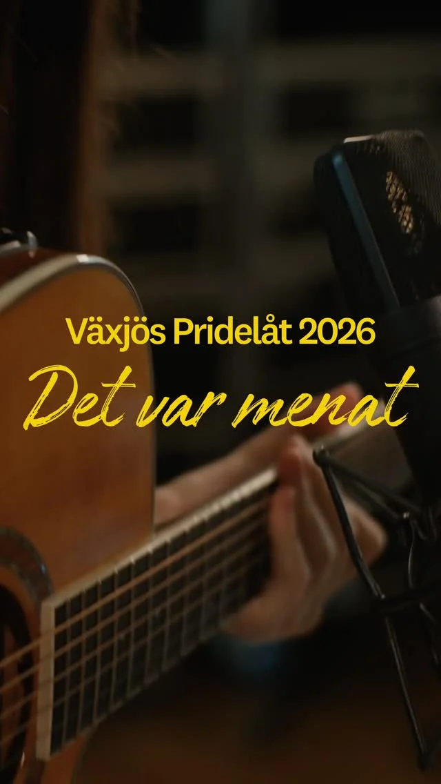 Årets Växjö Pride-låt ’Det var menat’ är skriven av Zalma Lopez, singer songwriter-student vid Linnéuniversitetet. Det är en energirik popmelodi.
– När jag fick reda på att just min låt blivit utvald kändes det underbart! Det är så fint att få representera något som är så centralt i Pride som att sprida glädje och kärlek, det ligger helt i linje med den jag vill vara som artist, menar Zalma.

Hon fick inspiration till låten både från sitt eget liv och från Lady Gagas låt ’Born This Way’. Till sin hjälp för att producera låten har hon haft Jesper Wibäck som är student på musikproduktionsprogrammet. Zalma berättar att temat för låten kom till henne väldigt snabbt och att hon direkt visste vad hon ville sprida för känsla.
– Budskapet i låten handlar om självkärlek. Min önskan är att alla ska känna att de får vara så som de är och att de ska bli accepterade för det. Jag vill också att man ska lyssna på låten och känna att man blir glad och får en lite bättre dag.

Läs hela nyheten på Lnu.se