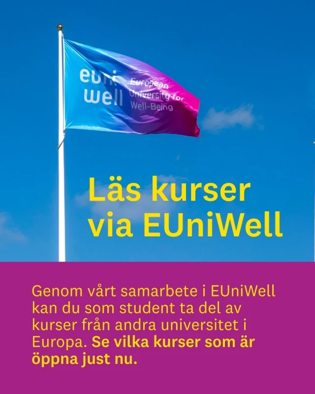 Vill du bredda dina studier – utan att lämna din utbildning? 🌍

Genom vårt samarbete i EUniWell kan du ta del av kurser från universitet runt om i Europa. Just nu finns flera öppna kurser inom allt från digital kompetens och inkludering till hälsa och kultur. Flera av kurserna är på distans och går att läsa i egen takt, vilket gör det enkelt att kombinera med dina nuvarande studier.

Bläddra i karusellen och se vad som passar dig. I EUniWells katalog hittar du mer information om kurserna och när du söker.
