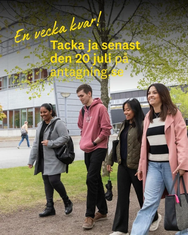 Har du blivit antagen till Linnéuniversitetet? Kom ihåg att tacka ja till din plats!

Nu är det en vecka kvar till sista svarsdag. För att behålla din plats behöver du svara senast den 20 juli.

Så här gör du:

✓ Logga in på antagning.se
✓ Läs ditt antagningsbesked
✓ Tacka ja till de platser du vill behålla

Är du reserv behöver du också tacka ja om du vill stå kvar och ha möjlighet att bli antagen senare.

Du behöver inte ha allt inför hösten ordnat redan nu. Men börja med det viktigaste: lämna ditt svar i tid.
