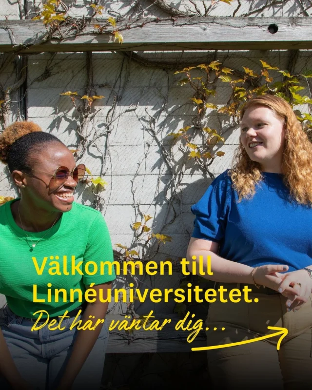 Välkommen till en ny termin på Linnéuniversitetet 💛

För några av er är allt nytt i dag. Nya människor, nya lokaler, nya rutiner – och kanske lite tentanerv redan på förhand.

Snart kommer mycket av det som känns ovant att kännas självklart. Du hittar dina platser, dina människor och ditt sätt att få ihop studentlivet.
Ge dig själv lite tid. Du behöver inte ha koll på allt från dag ett.

Och framför allt: välkommen hit!