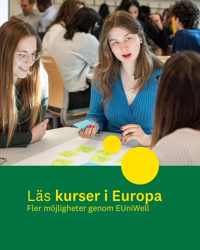 Vill du bredda dina studier med en internationell kurs? 🌍

Som student vid Linnéuniversitetet har du möjlighet att ta del av kurser och utbildningsaktiviteter inom universitetsalliansen EUniWell.

Just nu finns flera kurser på kandidat- och masternivå med ansökan senast 4 oktober. Du kan till exempel fördjupa dig inom:

🤖 social robotik och AI
🧠 sömn, stress och prestation
🌱 hållbar utveckling
✍️ kreativt skrivande
🩺 hälsa och välbefinnande
💡 innovation och entreprenörskap

Kurserna ges av universitet inom EUniWell och kan vara digitala, på plats eller innehålla internationella moment.

👉 Se hela utbudet och läs mer om respektive kurs via EUniWell.

Ansök senast 4 oktober till de aktuella kurserna.