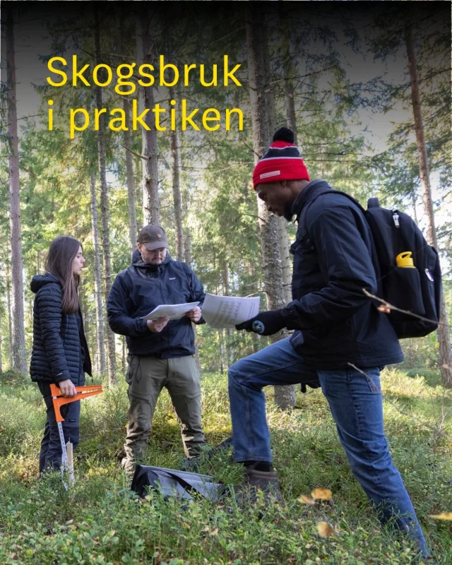 Många av våra program innehåller praktiska moment som äger rum utanför klassrummet. Förra veckan hakade vi på ett gäng studenter på masterprogrammet Skogsbruk för grön hållbar utveckling under en praktisk workshop i skogen, där de fick arbeta med olika instrument.

Skulle du vilja arbeta med framtidens skog?🌳