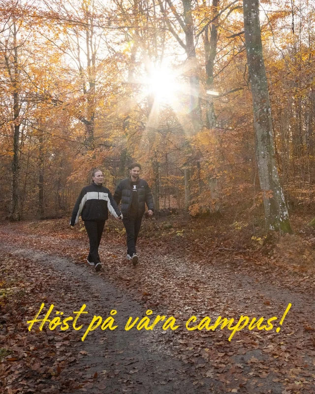 Höst på campus!🍁🍂

Lite bilder från de senasta dagarna, tagna i omgivningarna runt våra båda campus i Växjö och Kalmar. Visst är det vackert med höstfärger?!😍
